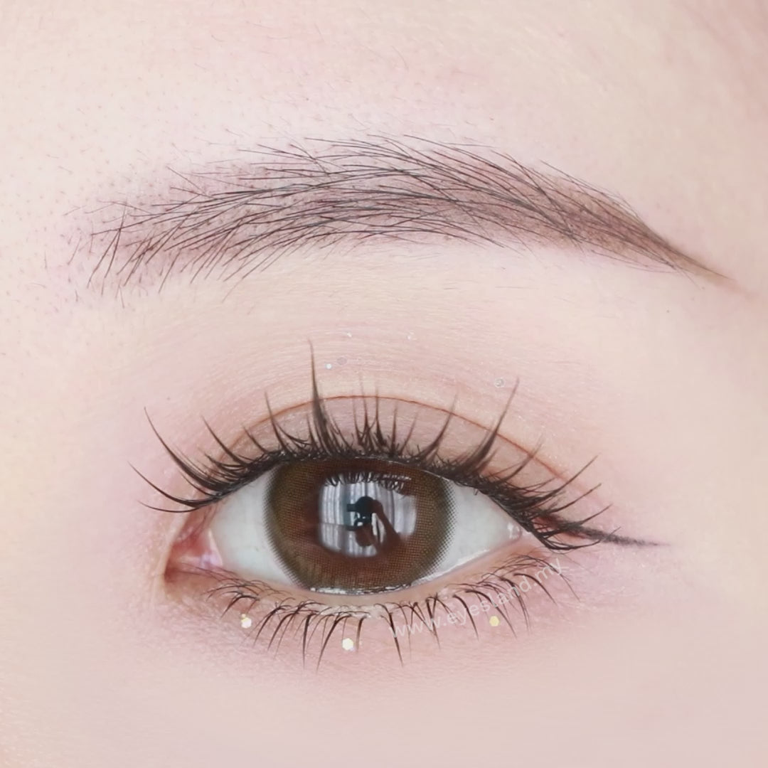 Hug Berry-Mi Tesoro 1 Day Color Con 10pcs (Eff dia:14.2mm)